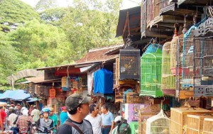 Pasar Splendid Malang