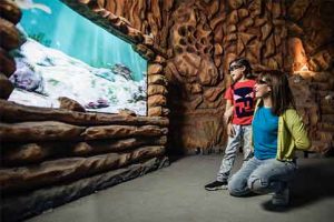 3D Aquarium Dino Park