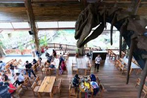 Food Court Dino Park