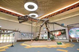 Kerangka Dino di Dino Park