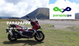 Rental Parappa